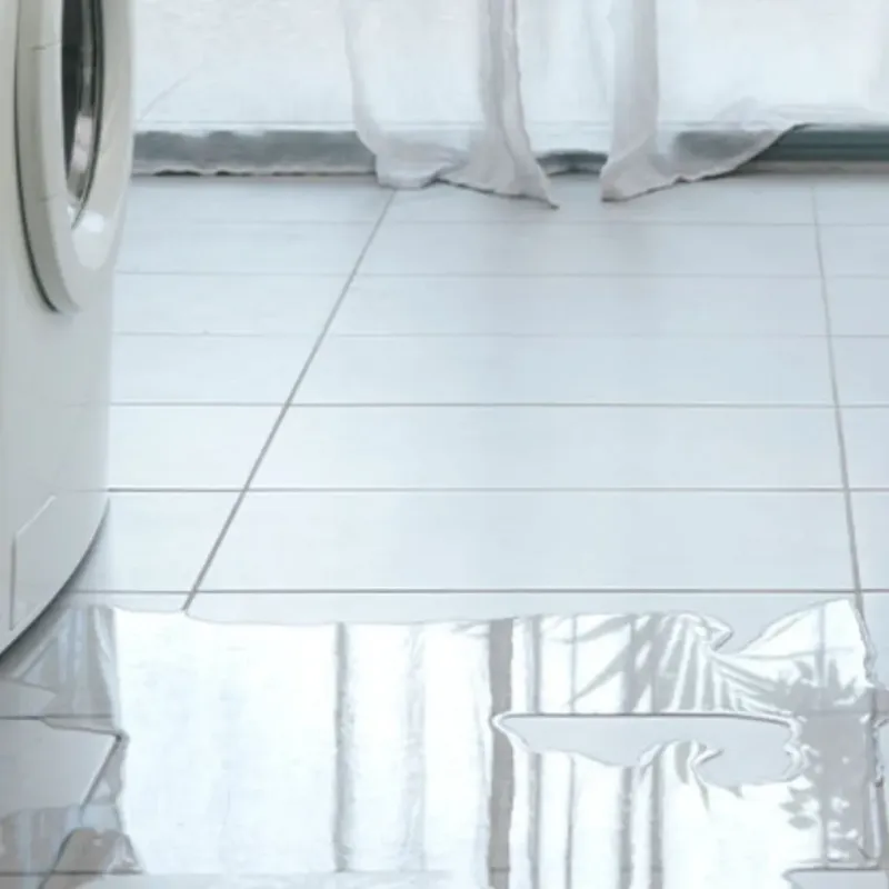 Appliance Leak Cleanup in Edgewood, WA