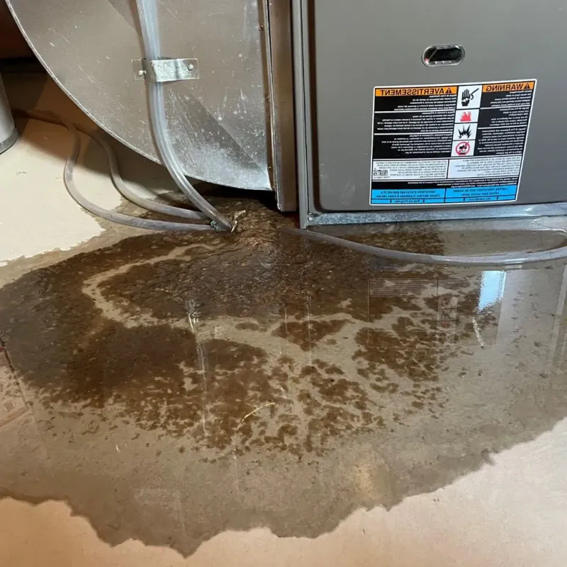 Pipe Burst and Leak Restoration in Edgewood, WA