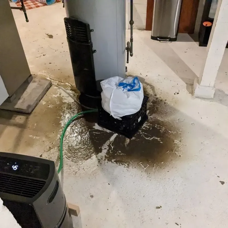Sewage Backup Cleanup Service in Edgewood, WA